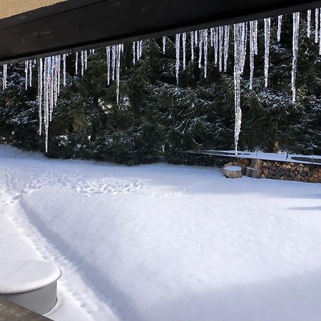 Apartman S Vyhledem Na Jezerni Stenu Železná Ruda エクステリア 写真