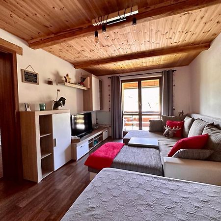 Apartman S Vyhledem Na Jezerni Stenu Železná Ruda エクステリア 写真