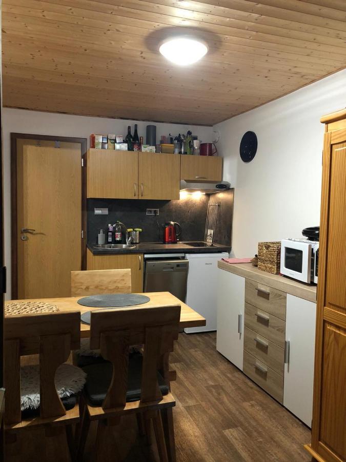 Apartman S Vyhledem Na Jezerni Stenu Železná Ruda エクステリア 写真