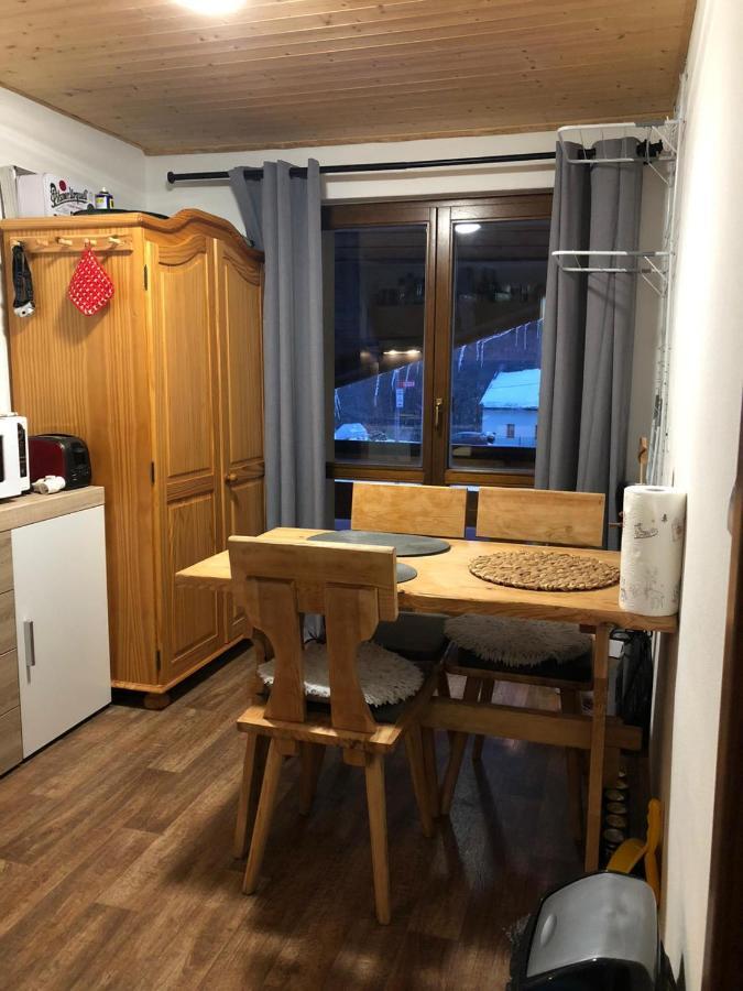 Apartman S Vyhledem Na Jezerni Stenu Železná Ruda エクステリア 写真