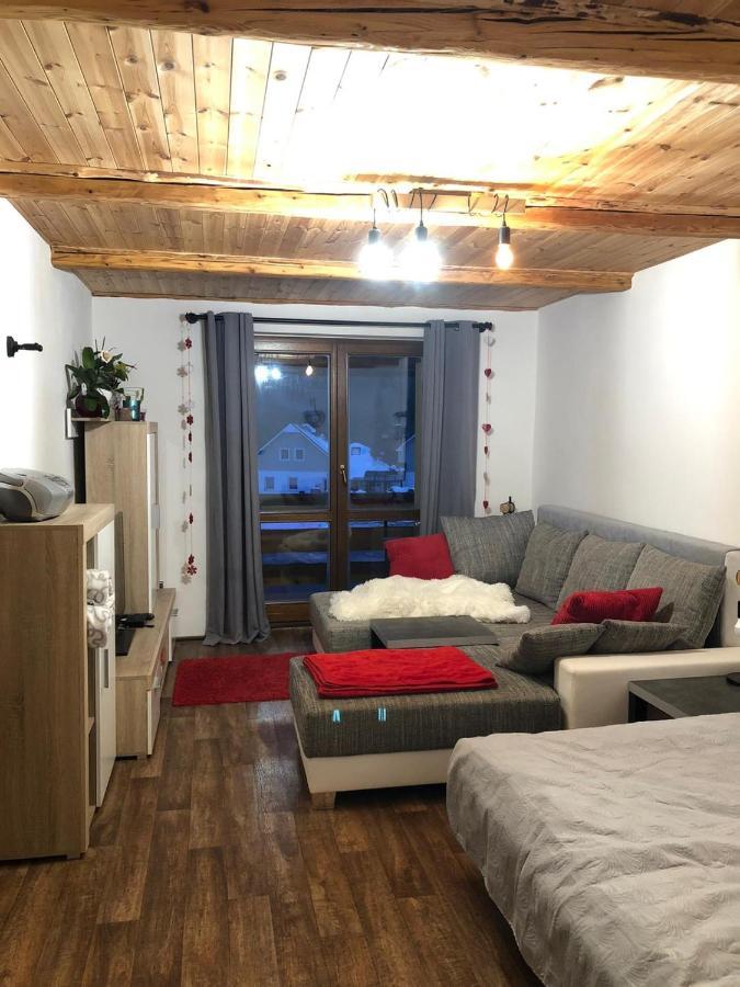 Apartman S Vyhledem Na Jezerni Stenu Železná Ruda エクステリア 写真