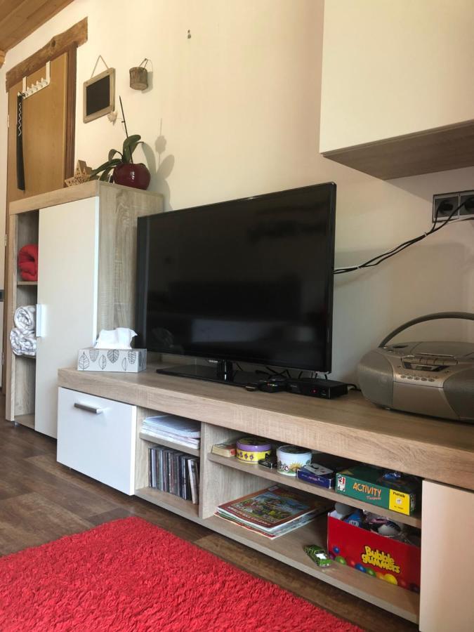 Apartman S Vyhledem Na Jezerni Stenu Železná Ruda エクステリア 写真