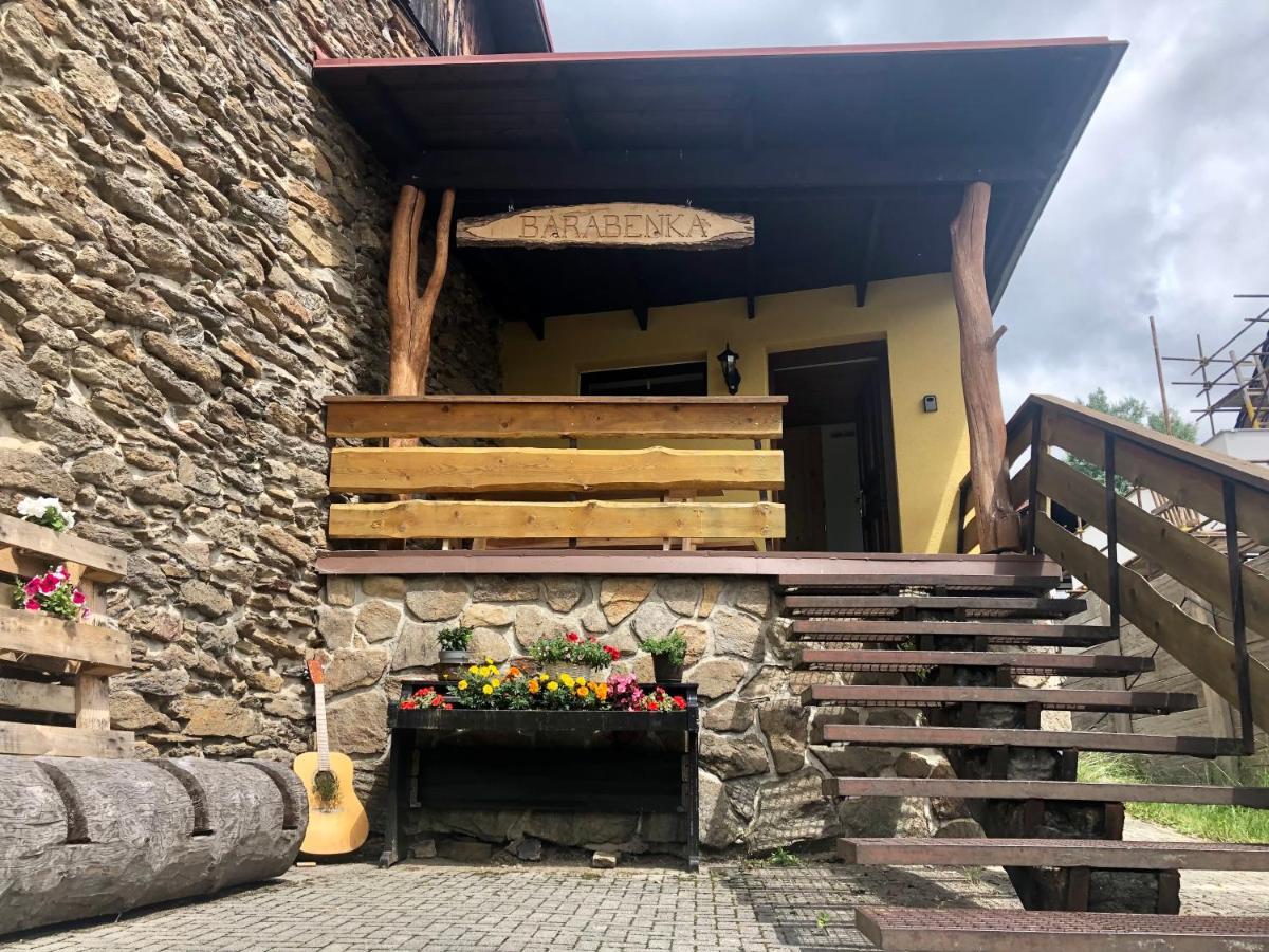 Apartman S Vyhledem Na Jezerni Stenu Železná Ruda エクステリア 写真