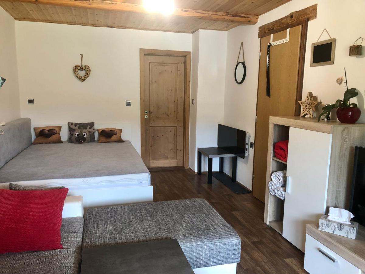 Apartman S Vyhledem Na Jezerni Stenu Železná Ruda エクステリア 写真