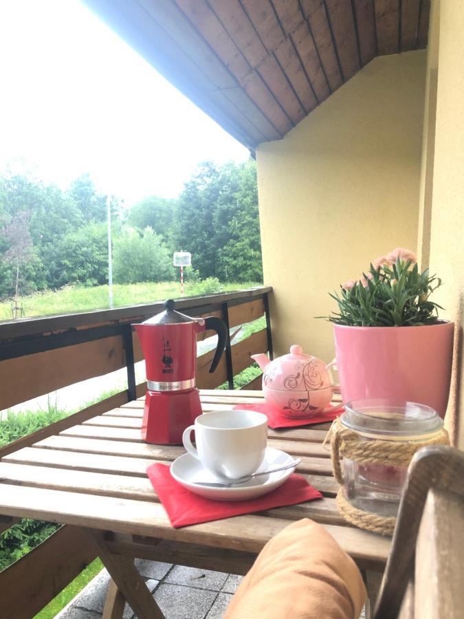 Apartman S Vyhledem Na Jezerni Stenu Železná Ruda エクステリア 写真