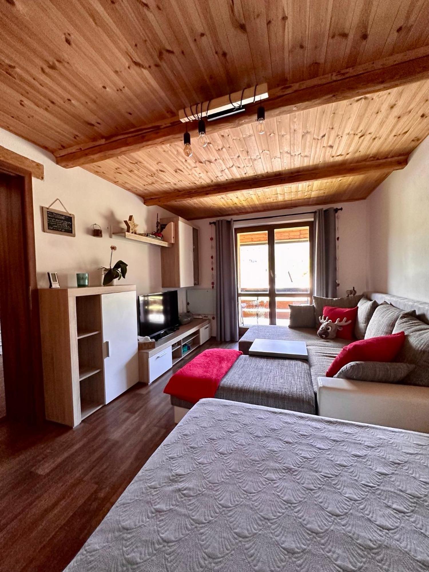 Apartman S Vyhledem Na Jezerni Stenu Železná Ruda エクステリア 写真